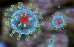 Информация о коронавирусной инфекции 2019-nCoVловок 
